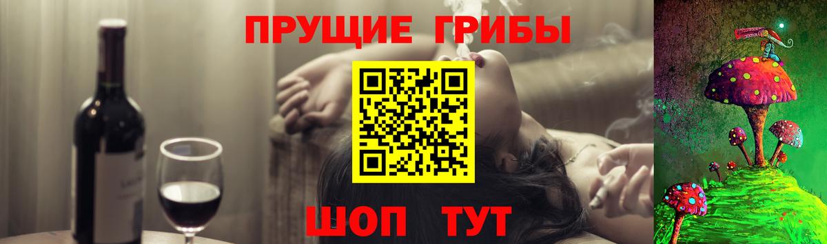 Псилоцибиновые грибы прущие грибы  что такое наркотик  Новокубанск  Галлюциногенные грибы MAGIC MUSHROOMS  Вход с VPN 