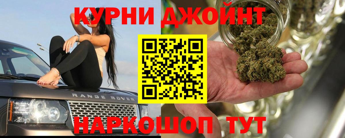 Конопля индика Новокубанск